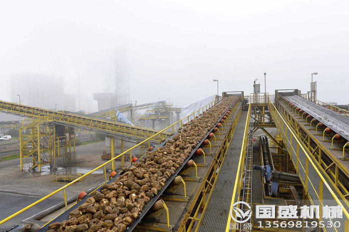 DT����Ƥ���C�O��