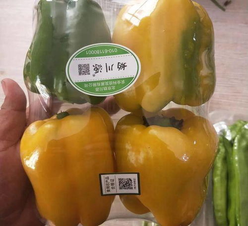 食用農(nóng)產(chǎn)品合格證 研發(fā)環(huán)節(jié)的隱形守護(hù)者